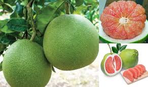 POMELO CERNENY